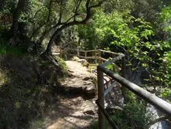 On foot in the Cinque Terre, The Blue Path, Monterosso - Vernazza