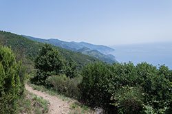 Trail 1 - Trail 8